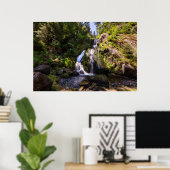 Waterfalls | Triberger Wasserfälle, Germany Poster (Thuiskantoor)