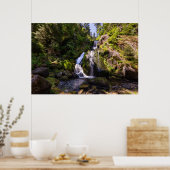 Waterfalls | Triberger Wasserfälle, Germany Poster (Keuken)