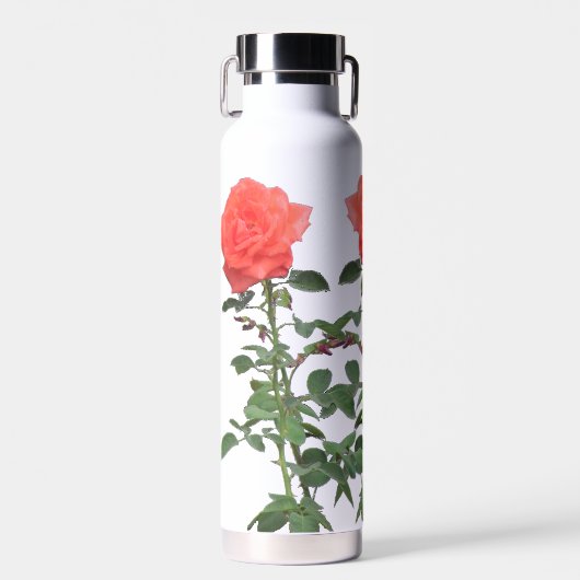 Waterfles - drie roze rozen (Voorkant)