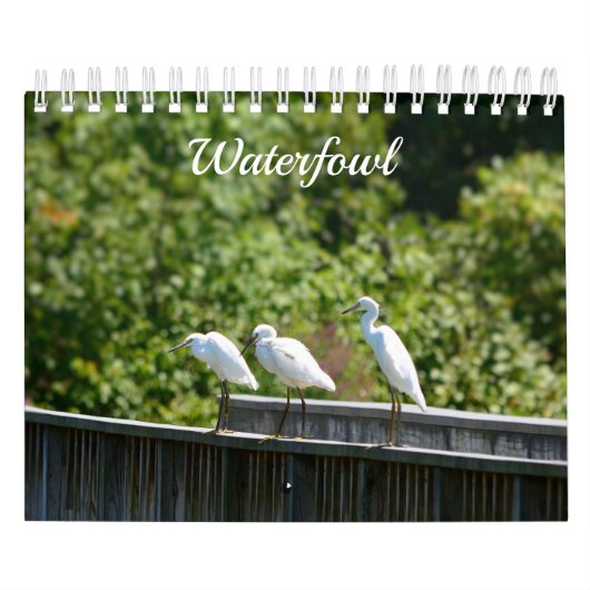 Waterfowl Calendar Kalender (Hoes)