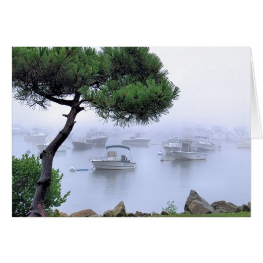 Waterfront Fog (Voorkant Horizontaal)