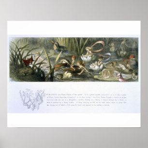 Watergalgen en waterfairies, illustratie van poster