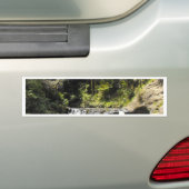 Watergat bij Goldie Struik Walk Bumpersticker (Op auto)