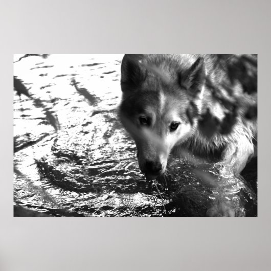 Watergat Poster (Voorkant)