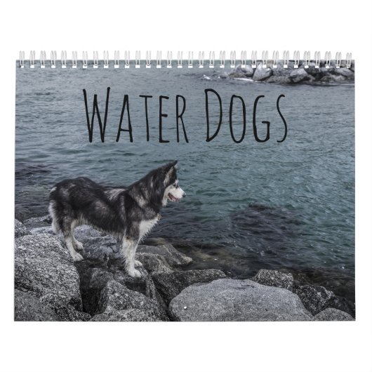 Waterhonden Kalender (Hoes)