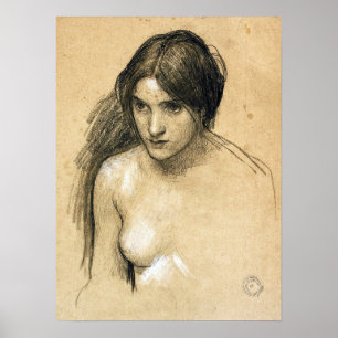 Waterhouse - Hylas en de Nimfen (studie) Poster