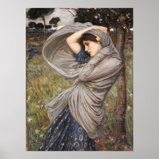 Waterhuis - Borea Poster (Voorkant)