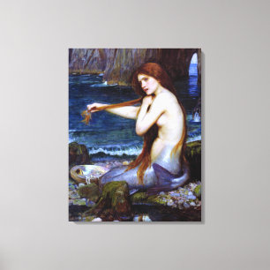 Waterhuis: De zeemeermin Canvas Afdruk