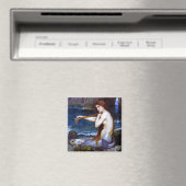 Waterhuis: De zeemeermin Magneet (Insitu (Vaatwasser))