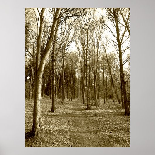 Waterhuizen Wood Poster (Voorkant)