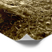 Waterhuizen Wood Poster (Hoek)