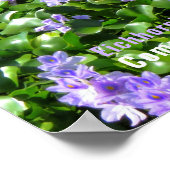 Waterhyacint Poster (Hoek)
