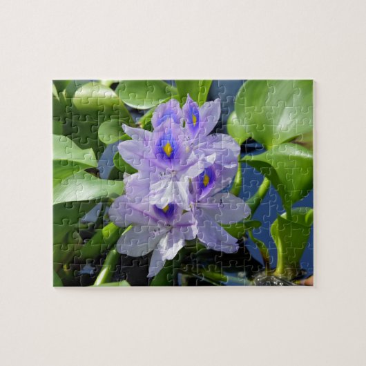 Waterhyacinth Lavender Flower Puzzle Legpuzzel (Horizontaal)
