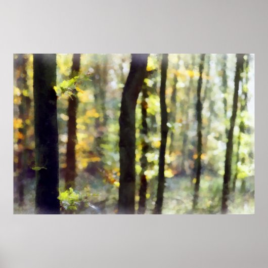 Waterige Bossen Poster (Voorkant)