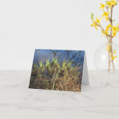 Wateririskaart (blanco) kaart (Gele Bloem)