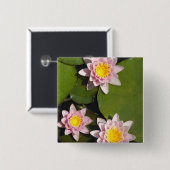 Waterleidingen Vierkante Button 5,1 Cm (Voorkant /achterkant)