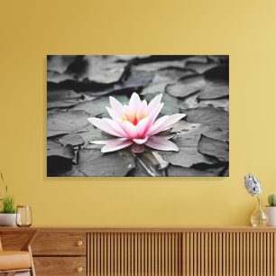 Waterlelie Aquatische Plant Gespannen Canvasprint Canvas Afdruk