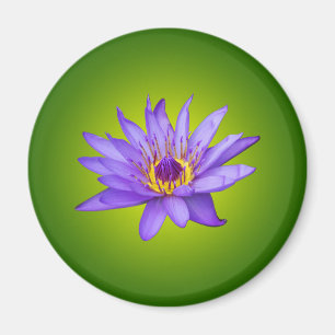 Waterlelie Bloem Vijver Aquatische Paarse Water Bl Magneet