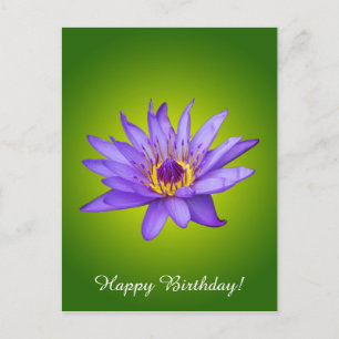Waterlelie Bloem Vijver Aquatische Paarse Waterblo Briefkaart