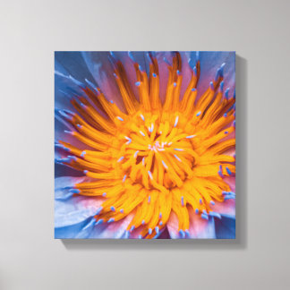 Waterlelie Gecentreerd Canvas Afdruk