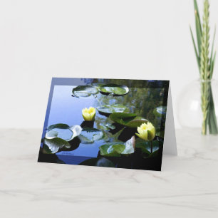 Waterlelie geel kaart