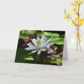 Waterlelie - Lege Kaart (Gele Bloem)