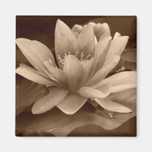 Waterlelie magneet
