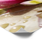 Waterlelie Poster (Hoek)