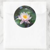 waterlelie ronde Sticker (Tas)