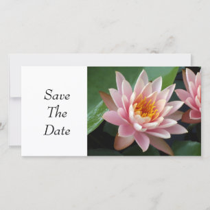 Waterlelie Schoonheid Save The Date