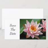 Waterlelie Schoonheid Save The Date (Voorkant / Achterkant)