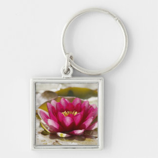 Waterlelie Sleutelhanger