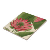  waterlelie tegeltje (Zijkant)