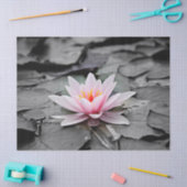 waterlelie tissuepapier (Craft)