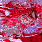 WATERLELIE VIJVER CANVAS AFDRUK