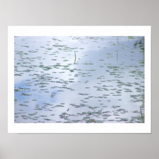 Waterlelieblad Foto Poster