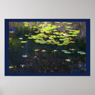 Waterlelies Foto Poster