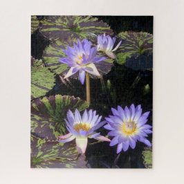 Waterlelies Legpuzzel