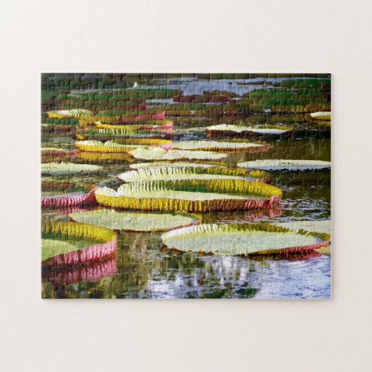 Waterlelies. Legpuzzel (Horizontaal)