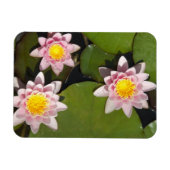 Waterlelies Magneet (Horizontaal)