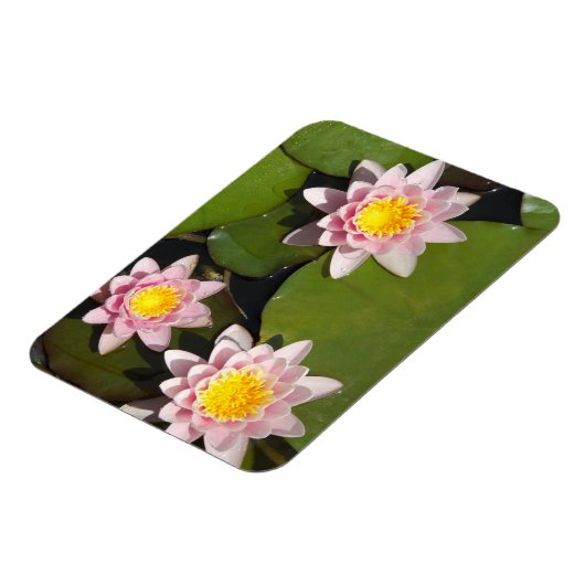 Waterlelies Magneet (Linkerzijde)