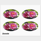 Waterlelies Ovale Sticker (Vel)