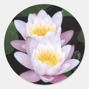 Waterlelies Ronde Sticker