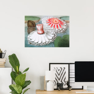 waterlielvloer in een hond poster