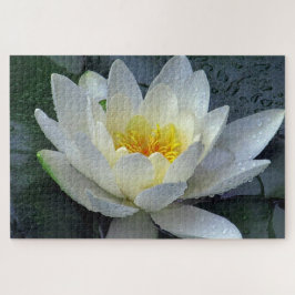 Waterlieveling Legpuzzel