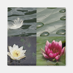 waterlijnen magneet