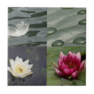  waterlĳnen tegeltje