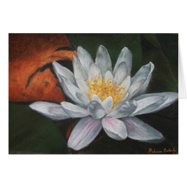 Waterlilly avec la protection morte (Devant horizontal)