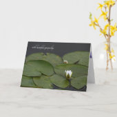 waterlily bud with lily pads sympathy kaart (Gele Bloem)