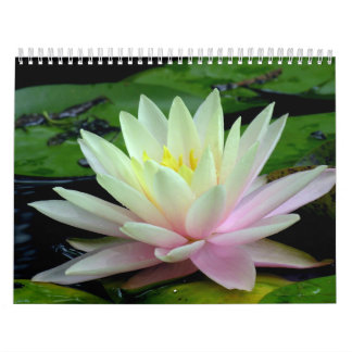 Waterlily Calendar Kalender